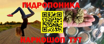 тгк Обь