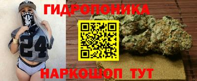 тгк Обь